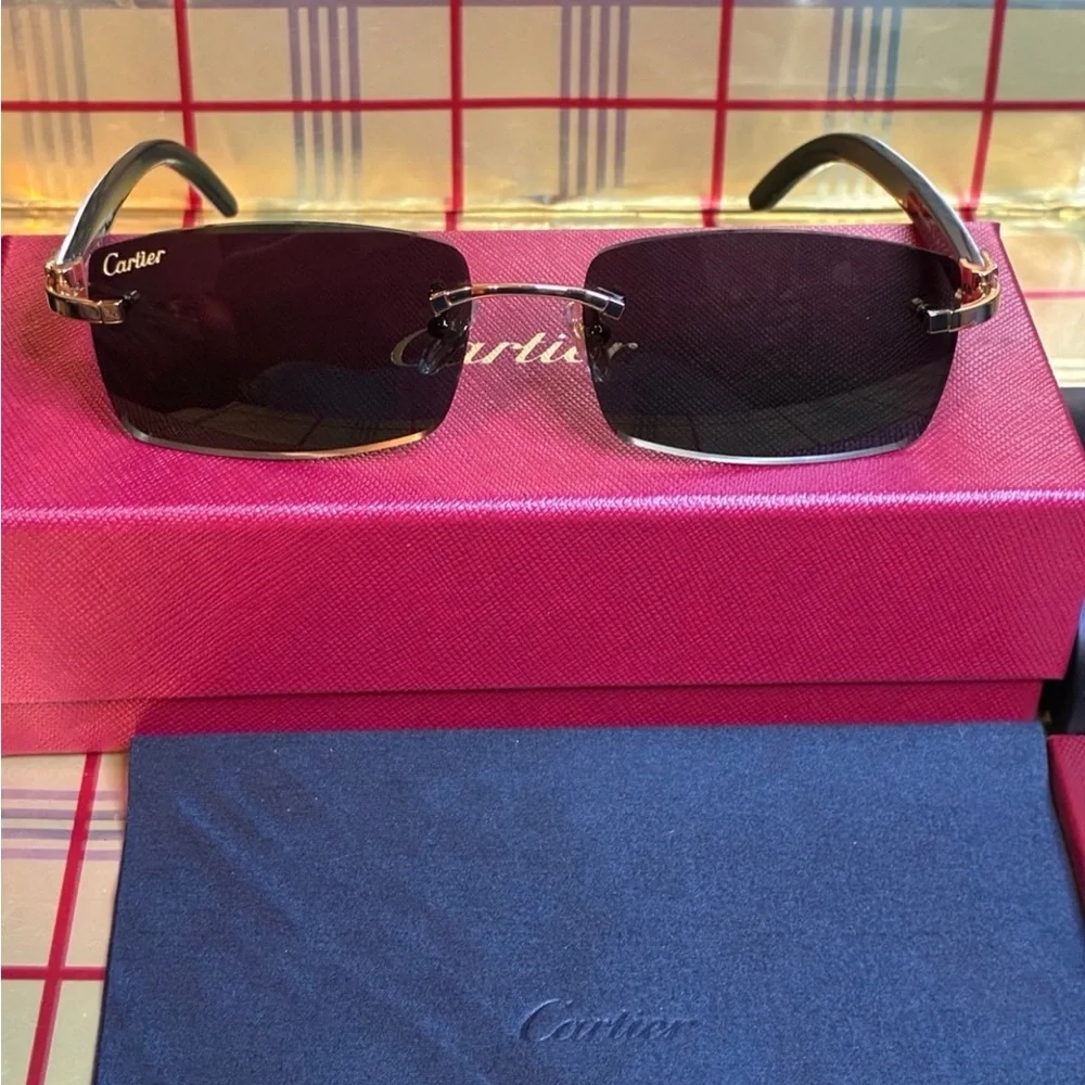 Cartier Unisex Buffalo Horn Sunglasses
